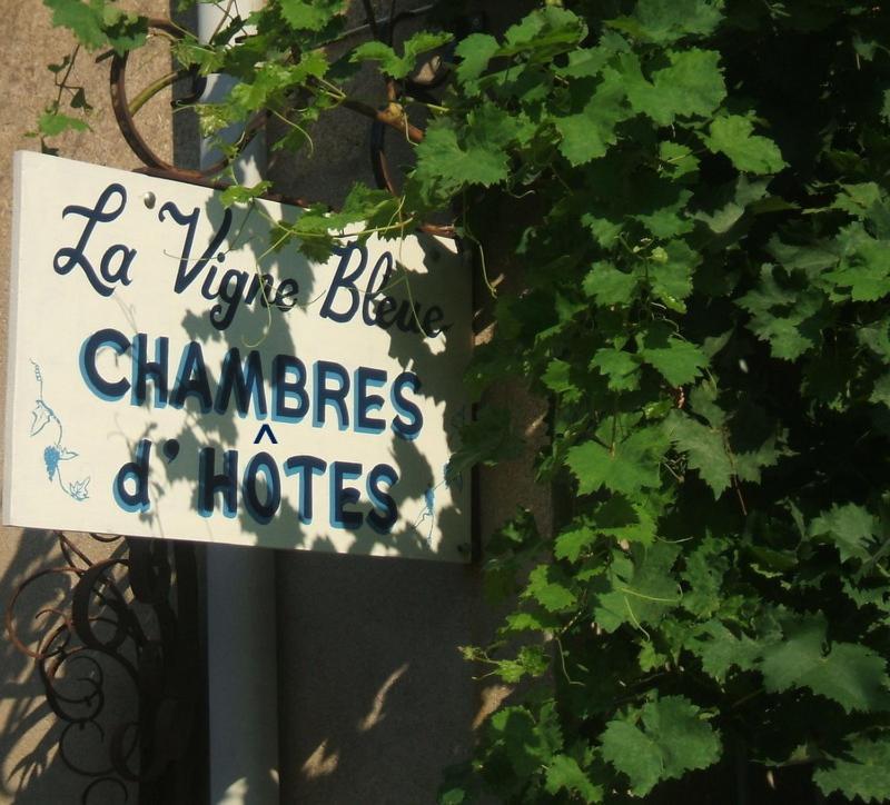Hotel La Vigne Bleue Olonzac Exterior foto